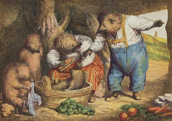 De Haas en de Egel