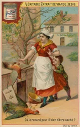 De Verloren Vos