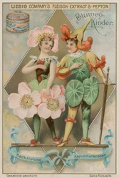 Wilde Roos en Oost-Indische Kers