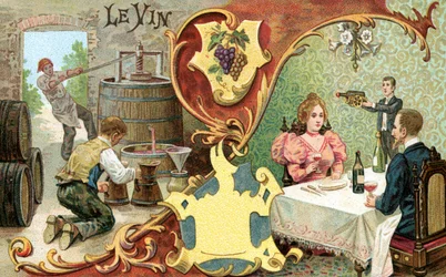 Wijn, 1899
