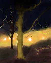 5:20 A.MProspect Park, Brooklyn (digitale kunst)
