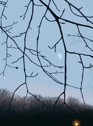 Takken, ochtendgloren, Prospect Park (digitale kunst)