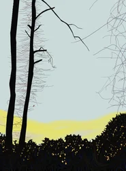 Kardinaal in boom (digitale kunst)