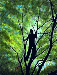 Emmitt In Treea, Brooklyn (digitale kunst)