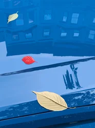 Gevallen bladeren op blauwe auto, Brooklyn (digitale kunst)