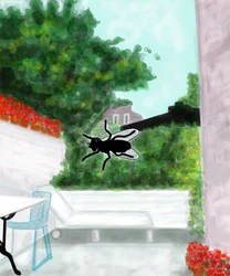 Fly On Window, Brooklyn (digitale kunst)