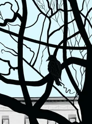 Havik op tak in stad (digitale kunst)