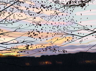 Havik op tak, prospect park (digitale kunst)