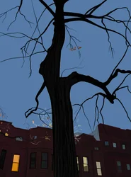 Huizen en bomen bij nacht, Brooklyn. (digitale kunst)