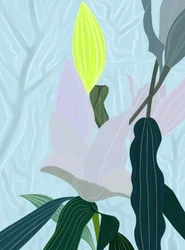 Lily (digitale kunst)