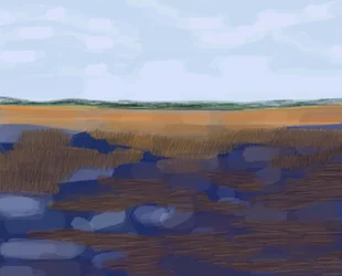Low Country, 2016 (met de hand getekend op een iPad met een Apple potlood)