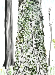 Boom met klimop (digitale kunst)