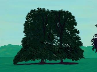 Two Lindsen Trees In Field (digital art)