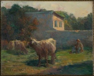 Grazende Koeien