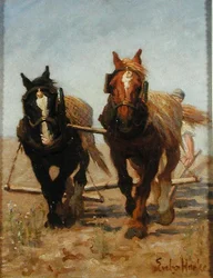 Het Ploegteam, Sussex Downs