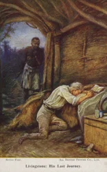David Livingstone