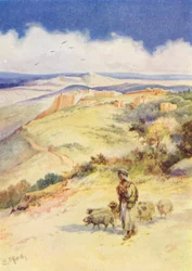 David de herdersjongen (kleurenlitho)