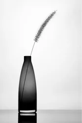 Elegante enkele steel
