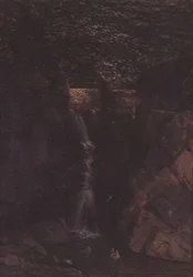 Waterval in een boslandschap