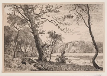 Het bos bij Silkeborg richting Fruens Bank