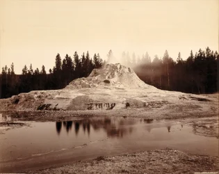 Kegel van de Castle-geiser, Yellowstone National Park