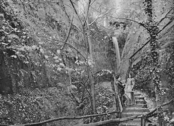 Shanklin Chine, c1896