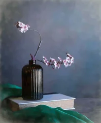 Tere lentebloesems