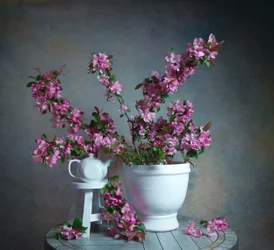 Elegant bloemenstilleven