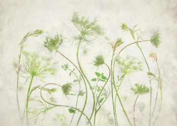 Zachte groene botanische motieven