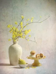 Heerlijke gele forsythia