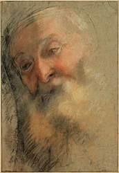 Hoofd van een oude man met baard