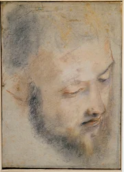 Studie van hoofd, tekening door Barocci