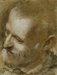 Studie van het hoofd van een bebaarde man naar links gedraaid, 1590