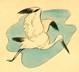 Kleurenillustratie