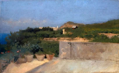 Terras in Resina