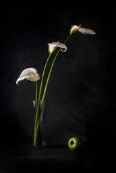 Calla