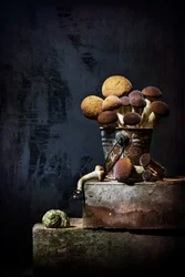 Aards stilleven met paddenstoelen