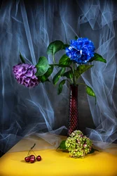 Levendig stilleven met hortensia’s
