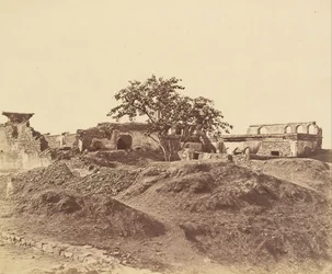Pahoree bij Batterij