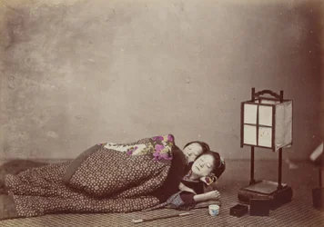 Slaapende Schoonheden, 1868