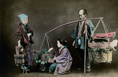 Groenteventer, Japan
