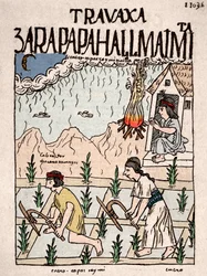 Inca-rijk: Een Indiaans koppel uit de Hatun Runa-klasse werkt het land in januari (inkttekening uit het manuscript 