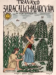 Inca Rijk: Inca boeren aan het werk op de velden in mei - Inkttekening uit het manuscript 