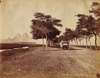 Caire. Allée de Pyramides