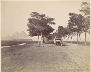 Caïro. Pyramidenlaan