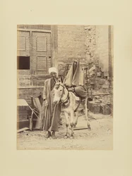 Egyptische vrouw met een ezel