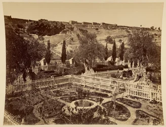 Tuin van Getsemane