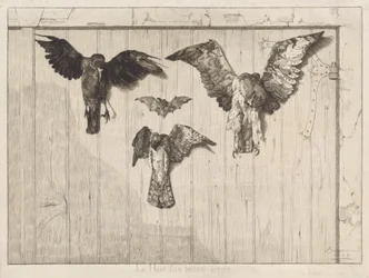 Vogels genageld aan een schuurdeur (Le haut d