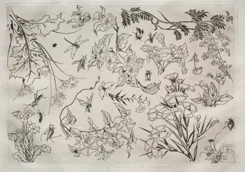 Dinerservies (Rousseau servies): Bloemen (nr. 22)