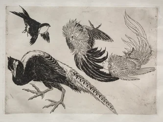 Dinerservies (Rousseau servies): Fazanten en vogel (nr. 18)